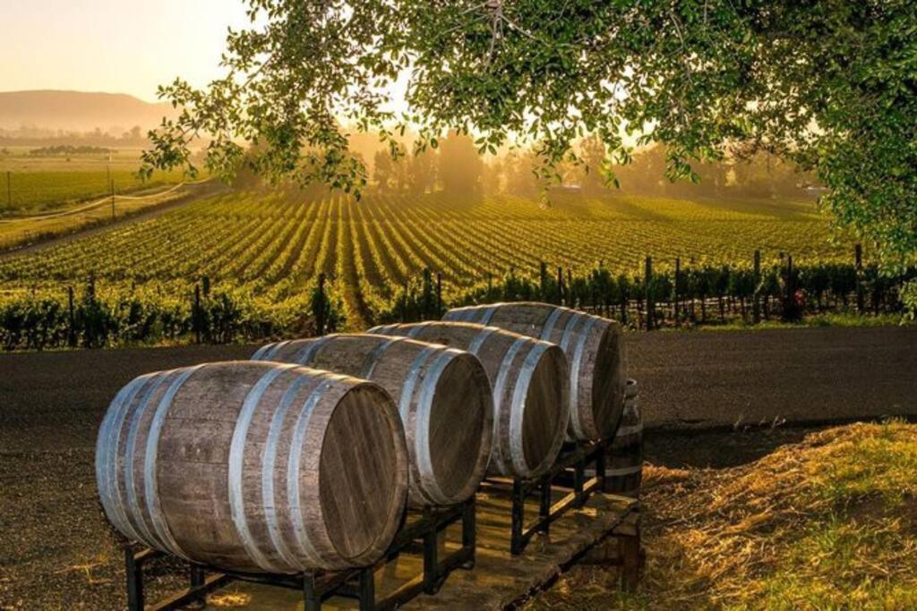 The Container Retreat @ 290 Wine Trail #10 Welcome Friends! Hye Екстериор снимка